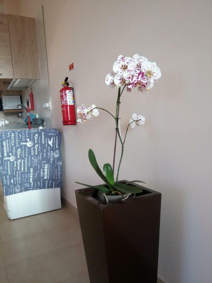 Casa Mao-Cheia Apartment อาร์โกดากาเลียตา ภายนอก รูปภาพ